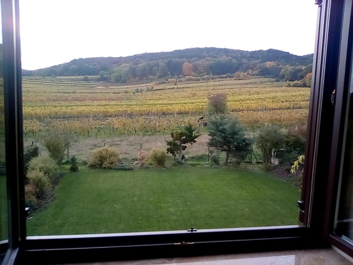 Top Over Vienna, Perchtoldsdorf Weinberge Ideal With Car Apartamento Exterior foto
